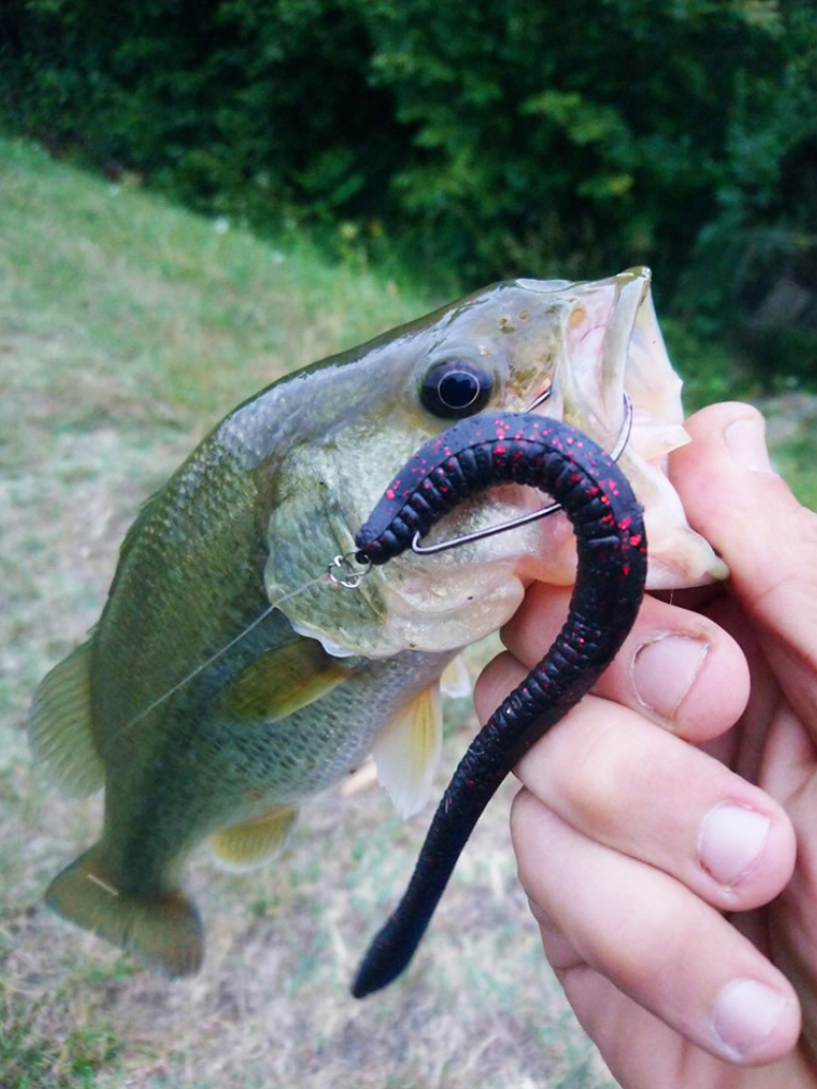 Esfishing Silicone Soft Bait T – Fishing Equipment Deals Bewertung und Preis