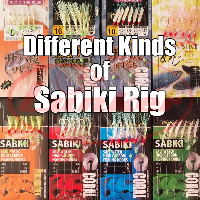 Lunker sabiki rig hooks lumino – Fishing Equipment Deals Bewertung und Preis